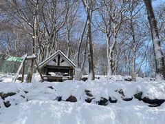 -宫城藏王狐狸村