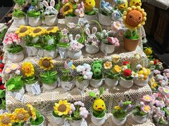 -番茄口袋(上海普陀区环球港店)