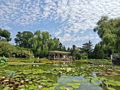 -国家植物园南园