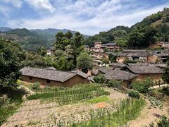 -杨家堂村