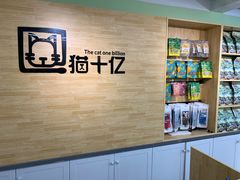 -猫十亿·布偶金渐层·曼基康矮脚猫舍(青年路店)