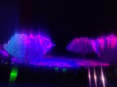 -水秀国际大剧院