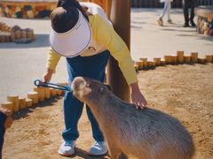 -大连森林动物园