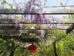 -雨花胜境