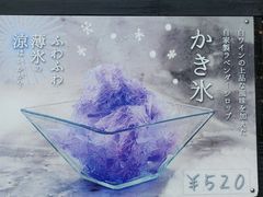 -富田农场
