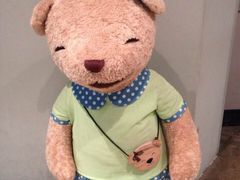 -济州岛泰迪熊博物馆