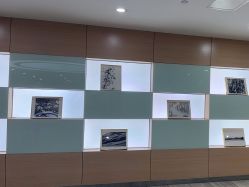 -重庆联合丽格第五医疗美容医院