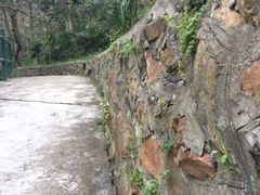 -上海佘山国家森林公园西佘山园