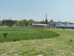 -嘉北郊野公园