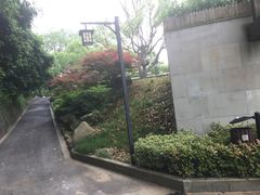 -东航云逸酒店(九溪烟树店)