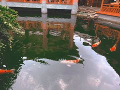 -香麒园·过桥米线·南湖雅宴