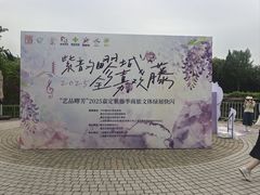 -嘉定紫藤园