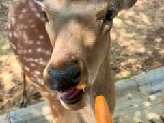 -南京金牛湖风景区