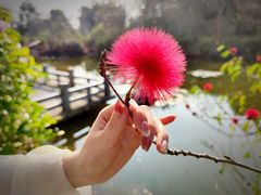 -中国科学院华南植物园
