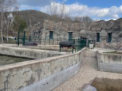 -哈尔滨北方森林动物园