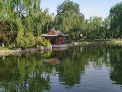 -万柳阁小馆·花园餐厅(龙潭湖店)