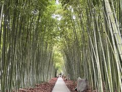 -上海市龙华烈士陵园