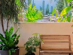 -自由生长植物工作室(深港花卉中心店)