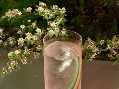 -Ton Ton吨吨小酒馆Live(观前街店)