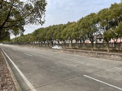 -安飞驰驾校·学车连锁(金高店)