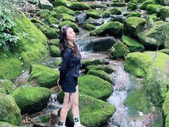 -陕西省红河谷森林公园