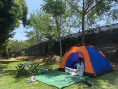 -星鹿农家乐·烤鸡·柴火鸡·团建