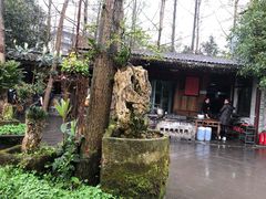 -青城甲(青城山店)