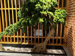 -囍榷·鲜美常州菜(恐龙园店)