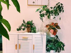 -星美科技皮肤管理中心(国贸店)