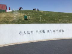 -荷兰花海