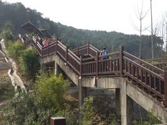 -铁山坪森林公园