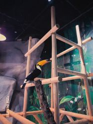 -Zoolung Zoolung动物主题公园(海信广场店)