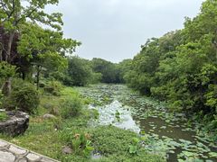 -上海海湾国家森林公园