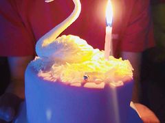 -CAKE BOSS 蛋糕老板(领展购物广场·中关村店)