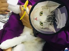 -达爱动物医院·犬猫分区·CT·复杂眼科(远洋山水分院)