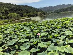-东钱湖旅游度假区