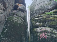 -汤旺河林海奇石景区