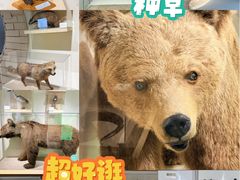 -中国湿地博物馆