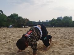 -青枫公园