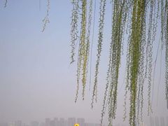 景点-云龙湖旅游景区