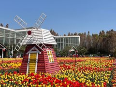 -捞渔河湿地公园