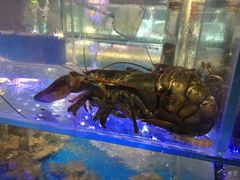 -兄弟爬爬虾(北京路店)