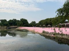 -上海杨姆庄园