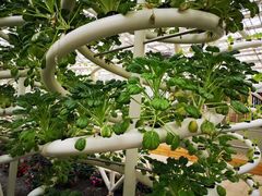 -中国天府农业博览园