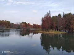 -贡湖湾湿地公园