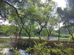 -星湖旅游景区七星岩