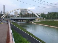 -福田红树林生态公园