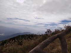 -梧桐山风景名胜区
