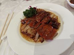 烧鹅平盘-圣爵菲斯大酒店(长沙世界之窗店)