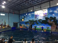 -石家庄极地海洋世界